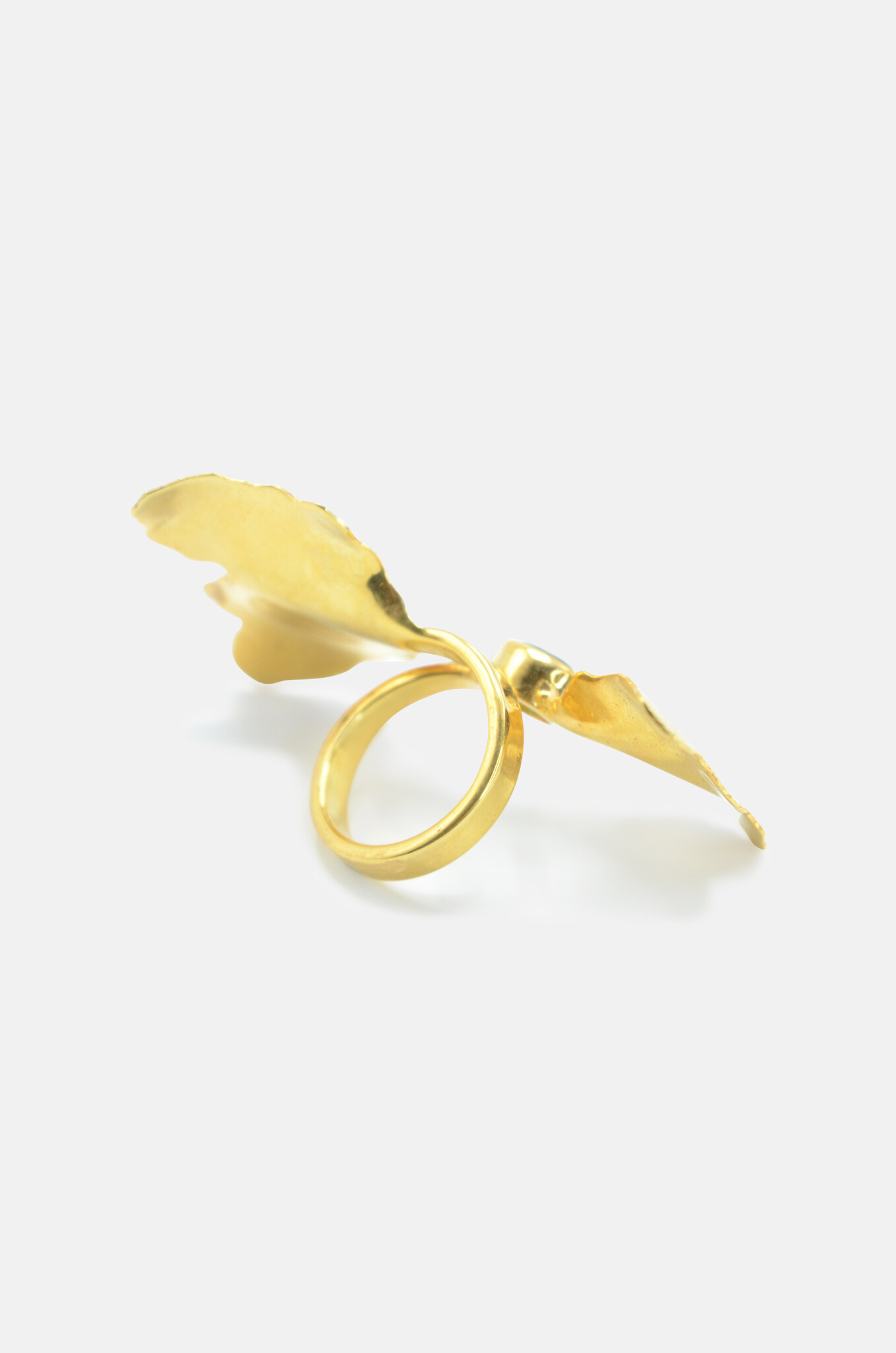 Ginkgo Biloba Green Quartz-2