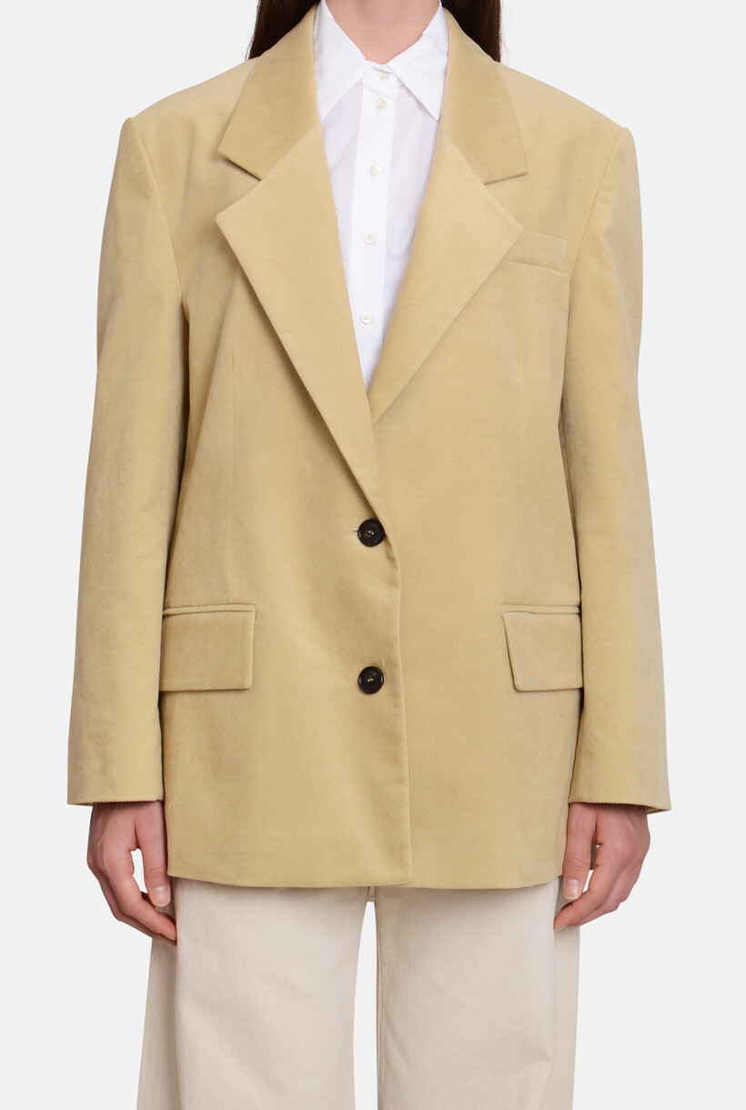 BLAZER