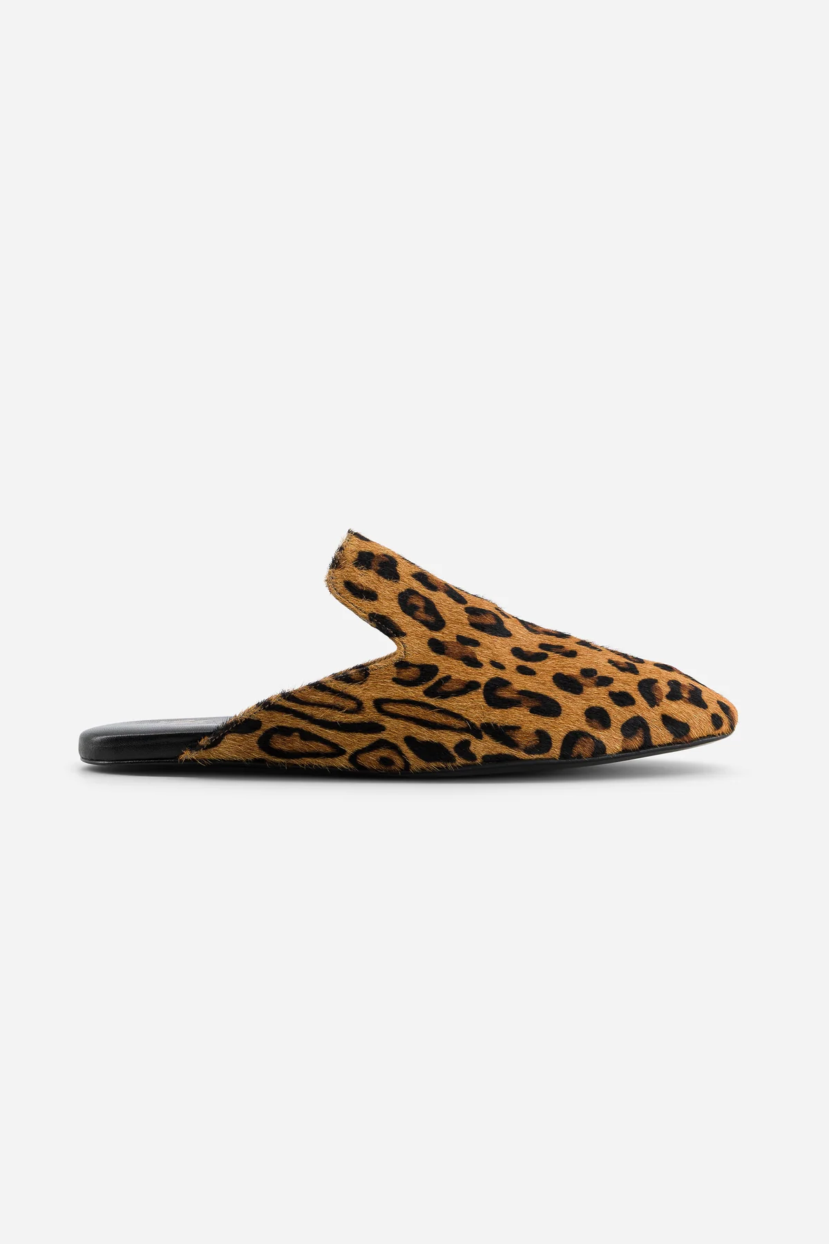 Anis Slippers Leopard-1