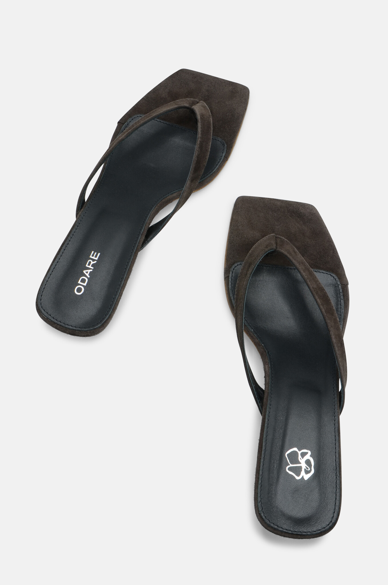 Cora Camoscio Testimoro-4