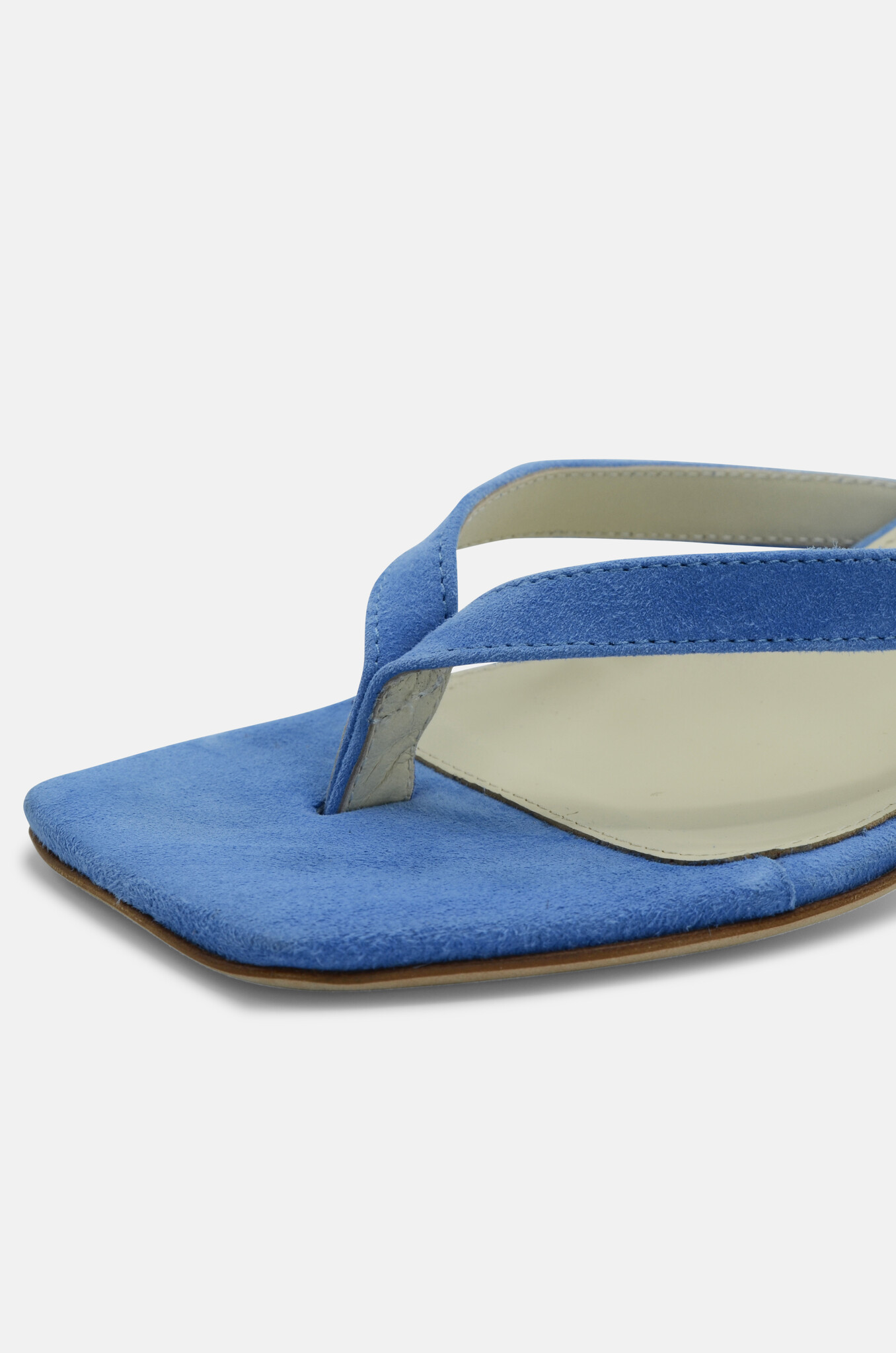 Cora Camoscio Azzurro-5