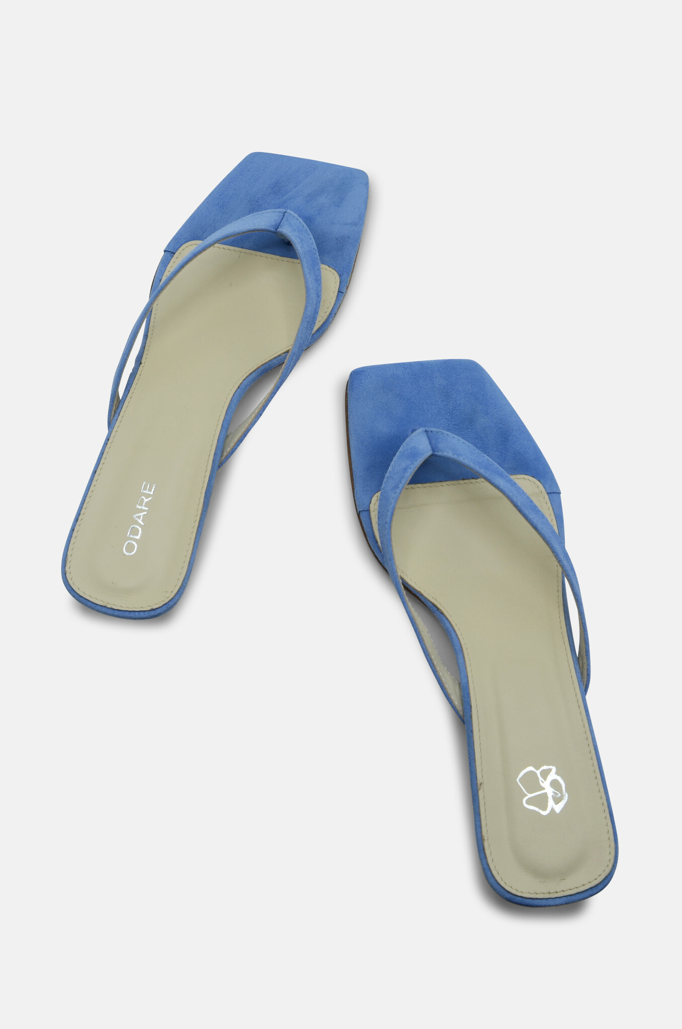 Cora Camoscio Azzurro-4