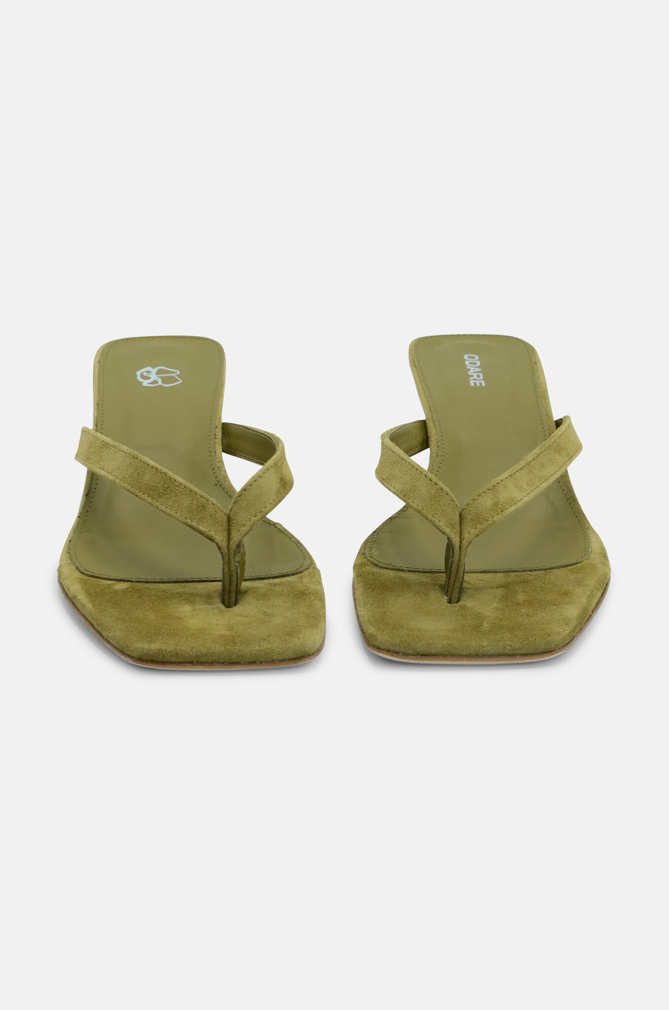 Cora Camoscio Aloe-3