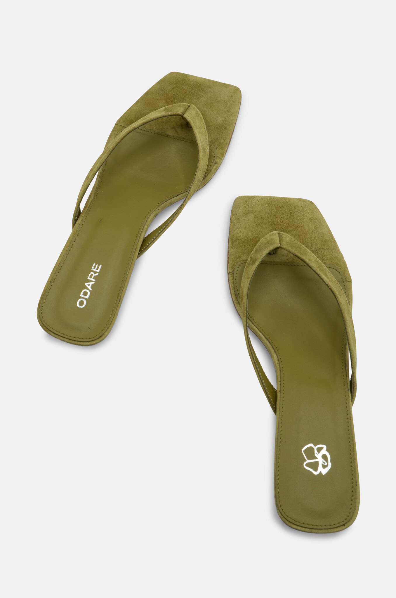 Cora Camoscio Aloe-4