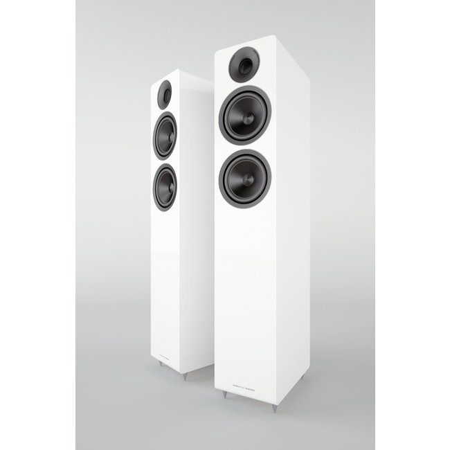 Acoutsic Energy AE309