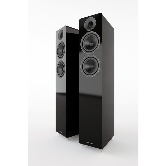 Acoutsic Energy AE309