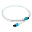 The Chord Company Chord C-lite optical