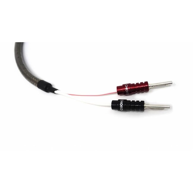 Huiswerk maken Schat Susteen Epic Twin speaker kabel met pluggen - Bender hifi