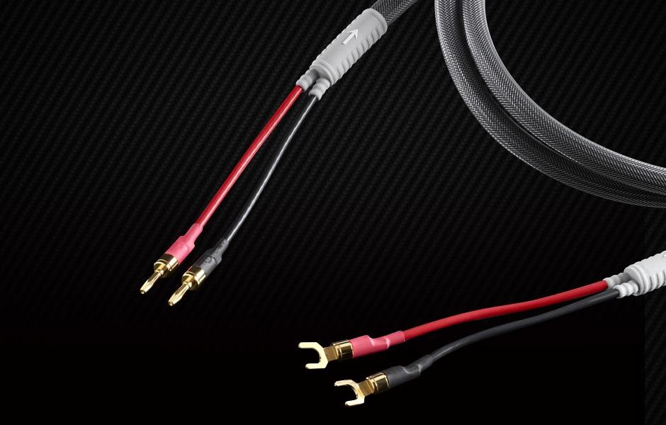 Shunyata Venom Speaker Cable set STIS