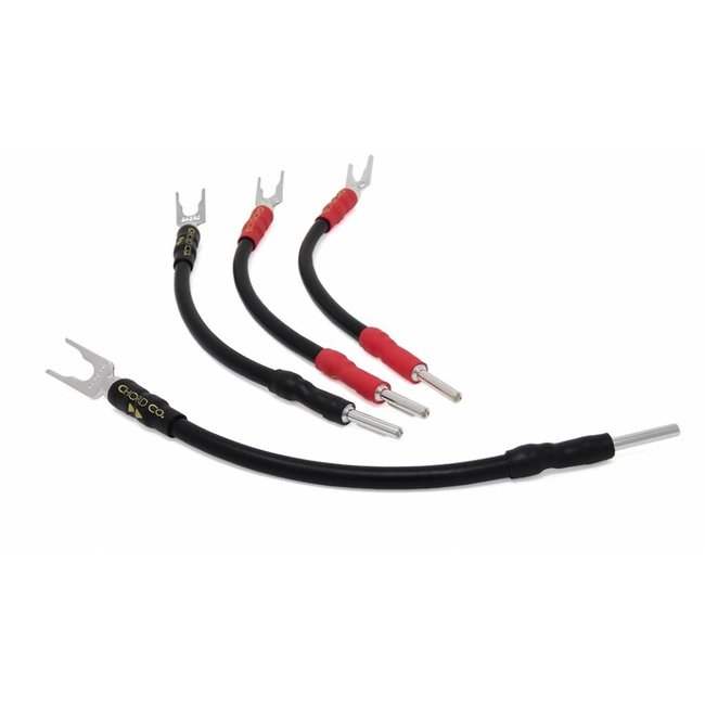 Chord Signature  speaker links set (X4) Spade to banana