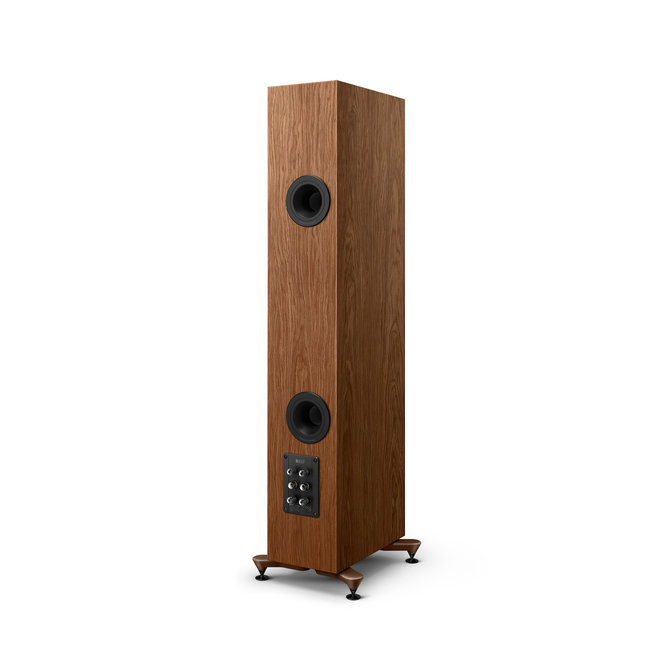 KEF  R5 Meta