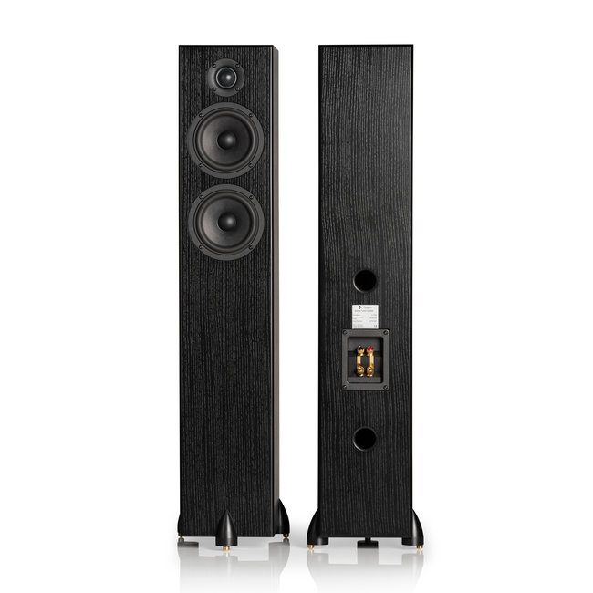 Totem Bison Twin Tower