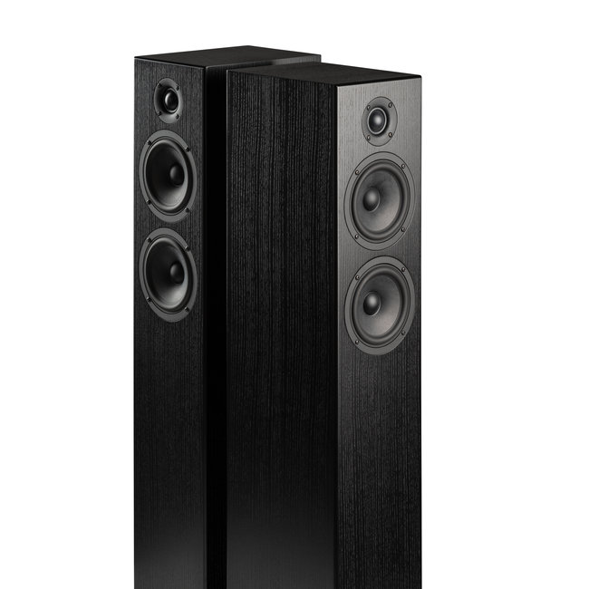 Totem Bison Twin Tower