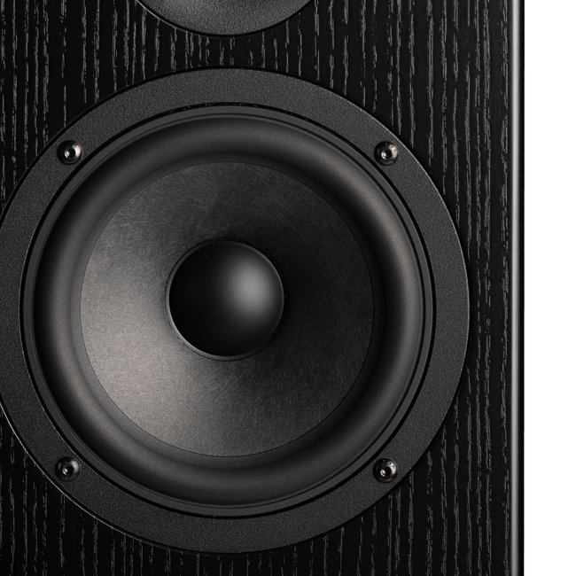 Totem Bison Twin Tower