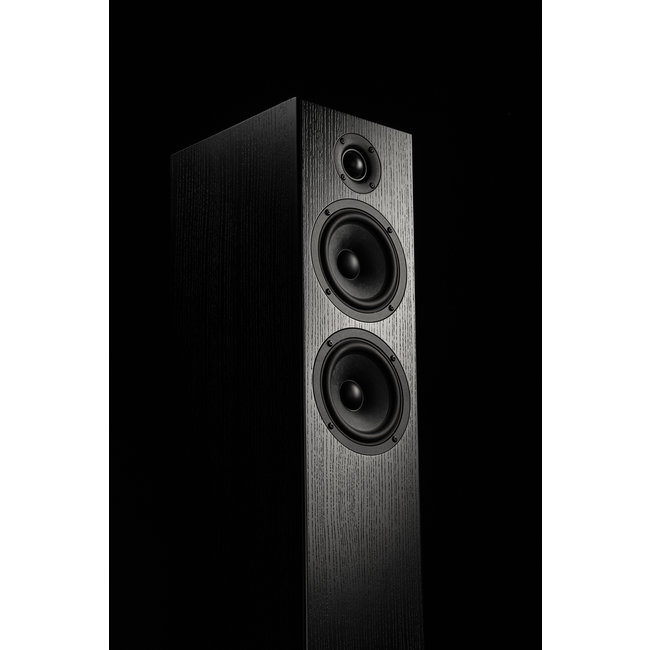 Totem Bison Twin Tower