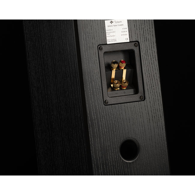 Totem Bison Twin Tower