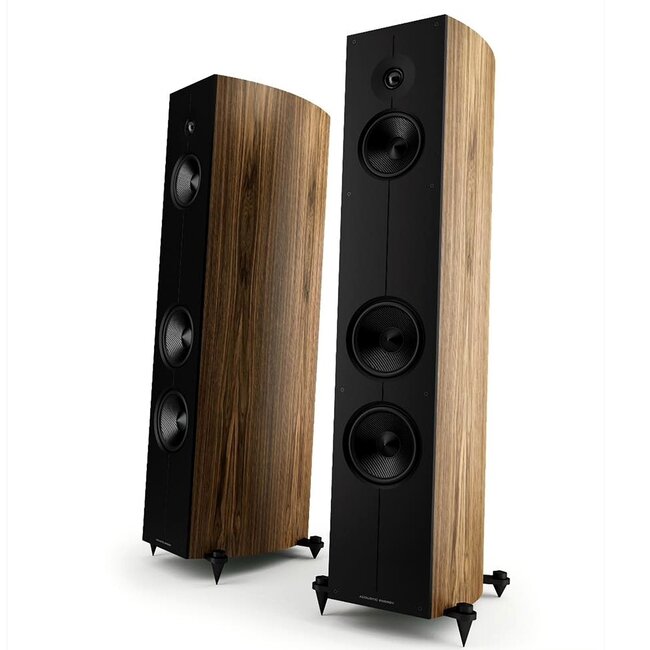 Acoustic Energy CORINIUM