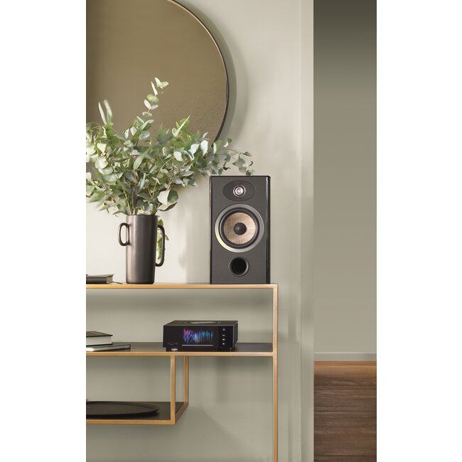 Focal Aria Evo X N°1