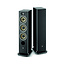 FOCAL Focal Aria Evo X N°2