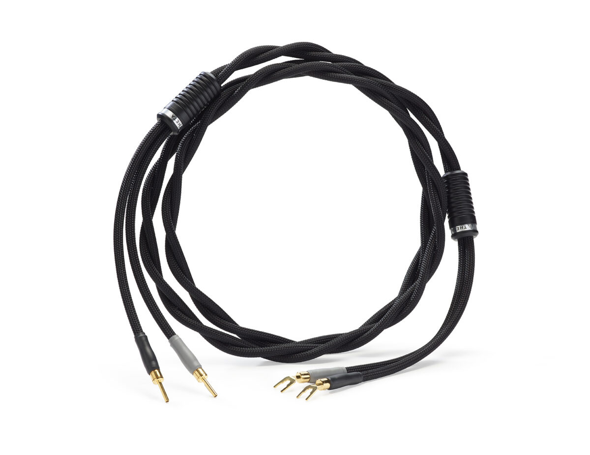 Shunyata Theta speaker cables