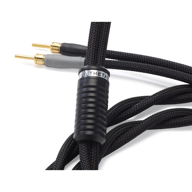 Shunyata Theta speaker cables