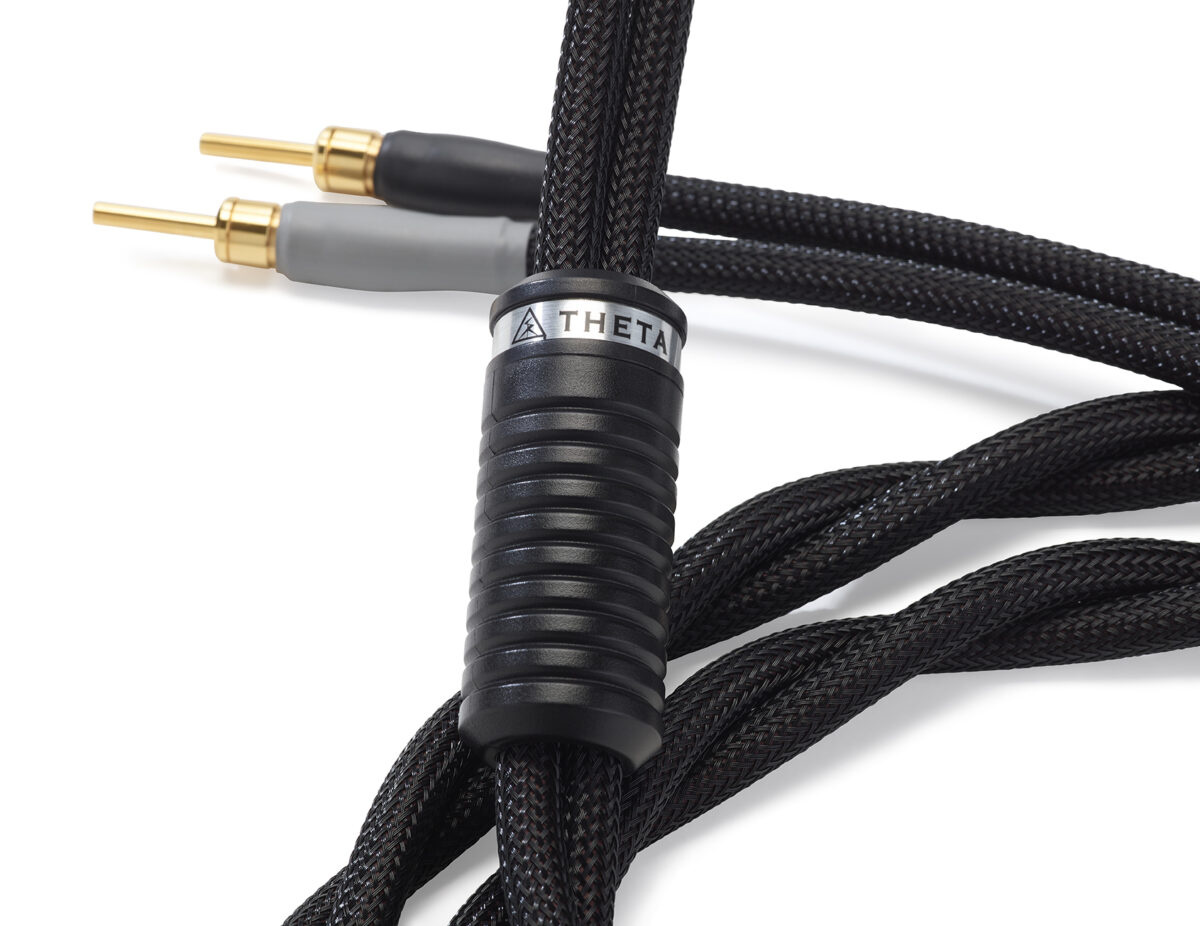 Shunyata Theta speaker cables