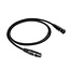 Norstone Norstone Arran XLR