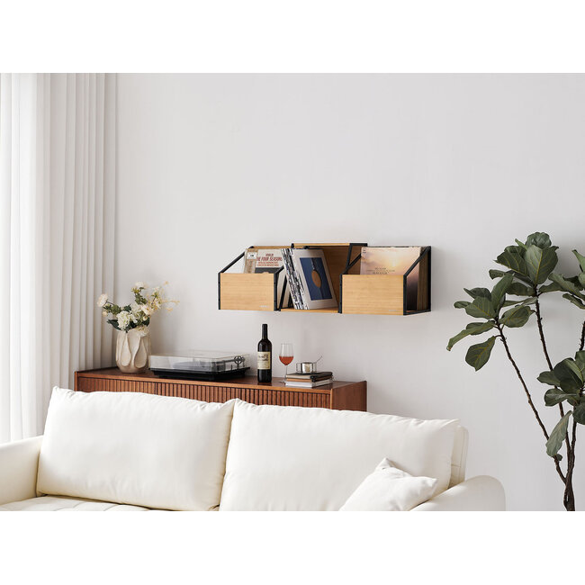 Norstone Vinyl LP Case