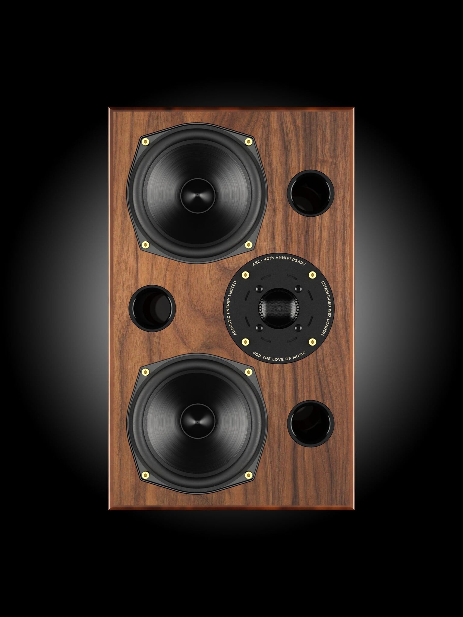 Acoustic Energy AE2