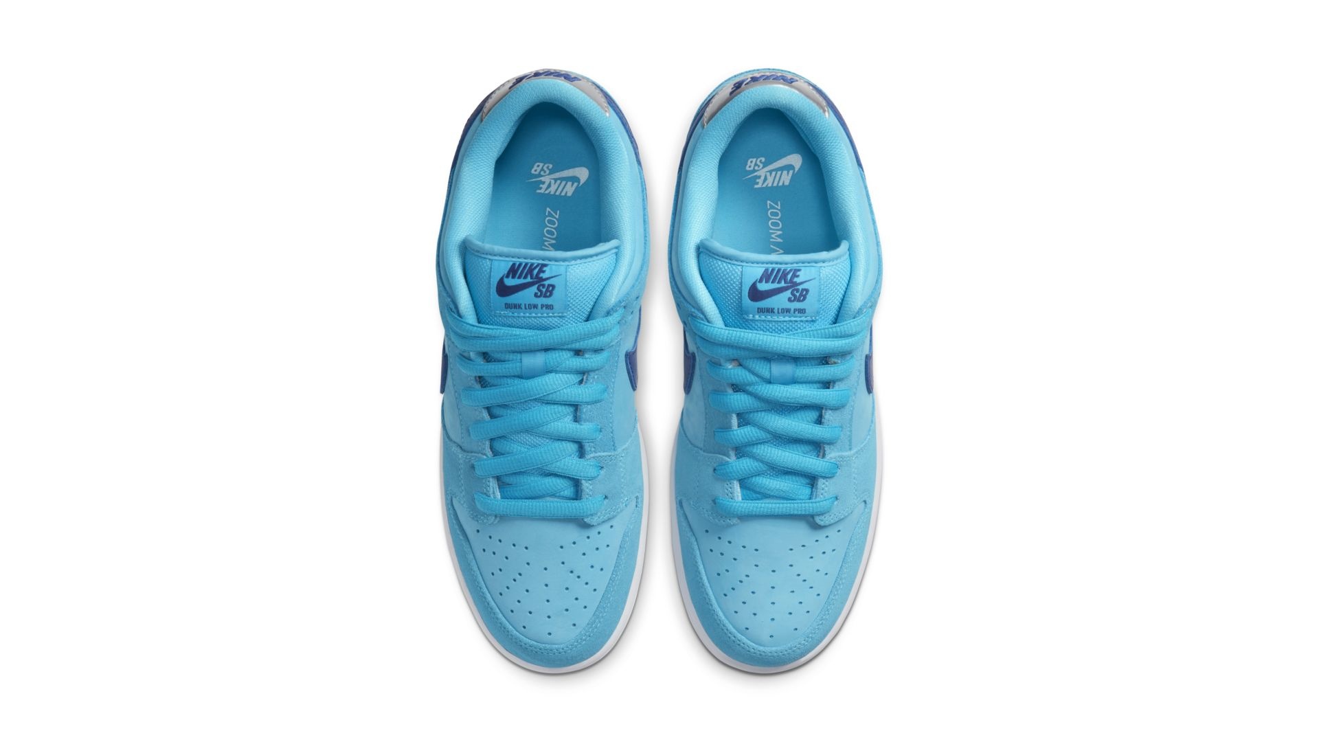 blue fury nike dunk