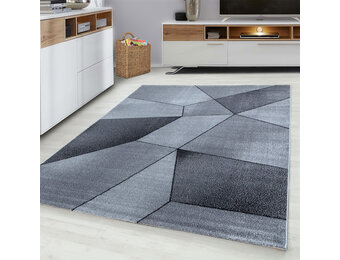 Tapijtenloods Beta Vloerkleed Grijs Laagpolig