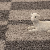 Tapijtenloods Gala Shaggy vloerkleed Taupe Hoogpolig