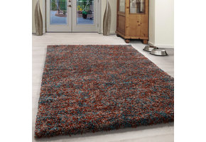 Tapijtenloods Rainbow Soft Shaggy Hoogpolig Vloerkleed Terra