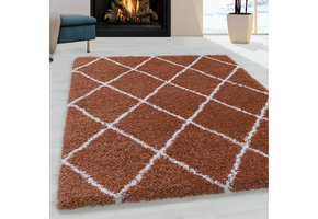 Tapijtenloods Harmony Soft Shaggy Hoogpolig Vloerkleed Terra / Oranje