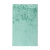 Tapijtenloods Heaven Vacht - Badmat Fluffy - Hoogpolig - Soft Touch Effen - Mint Groen