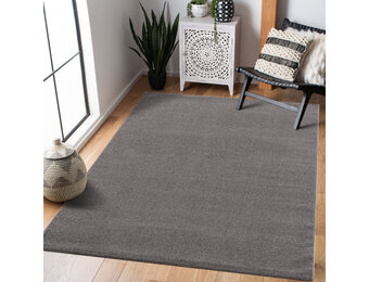 Tapijtenloods Uni Effen Laagpolig Vloerkleed Modern Grijs