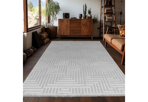 Arte Designer Vloerkleed Laagpolig Luxe Tapijt - Woonkamer Slaapkamer -  Zilver / Grijs