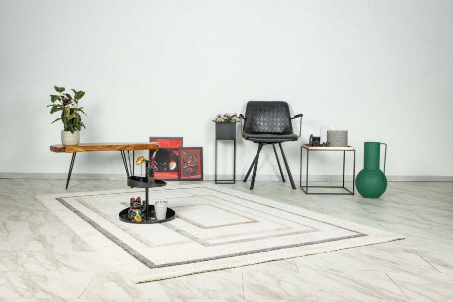 Trendy Home Loom - Modern Vloerkleed - Abstract, Laagpolig, Hoge dichtheid, Soft Touch - Zilver Creme