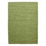 Basic Shaggy vloerkleed Groen Hoogpolig