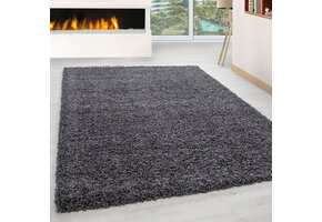 Tapijtenloods Basic Shaggy vloerkleed Grijs Hoogpolig