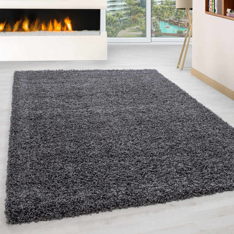 Tapijtenloods Basic Shaggy vloerkleed Grijs Hoogpolig