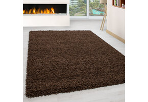 Tapijtenloods Basic Shaggy vloerkleed Bruin Hoogpolig