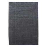 Tapijtenloods Basics Effen Vloerkleed Grijs Laagpolig