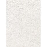 Elite SDN Uni - Op Maat - Modern | Luxe | Effen Tapijt - Creme Wit