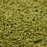 Basic Shaggy vloerkleed Groen Hoogpolig