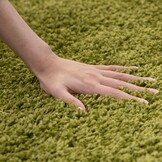 Tapijtenloods Basic Shaggy vloerkleed Groen Hoogpolig