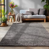Tapijtenloods Basic Shaggy vloerkleed Grijs Hoogpolig
