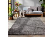 Tapijtenloods Basic Shaggy vloerkleed Grijs Hoogpolig