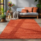 Tapijtenloods Basic Shaggy vloerkleed Terra / Oranje Hoogpolig