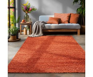 Paco Home Hoogpolig Vloerkleed Woonkamer Shaggy Vintage Patroon Abstract Modern, Maat:60x100 cm, Kleur:Veelkleurig 2